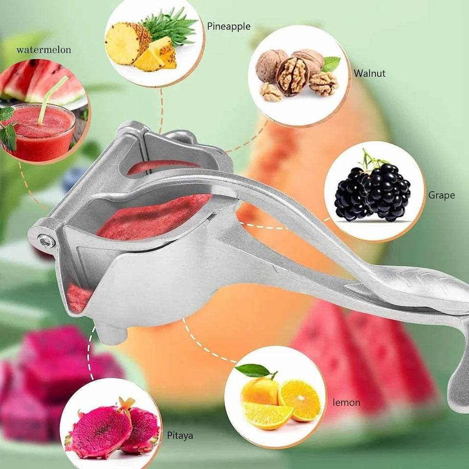 Fruit Press Juicer