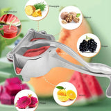 Fruit Press Juicer