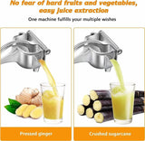Fruit Press Juicer